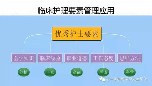 思维导图在临床管理中的应用 赋能精准医疗与高效协作